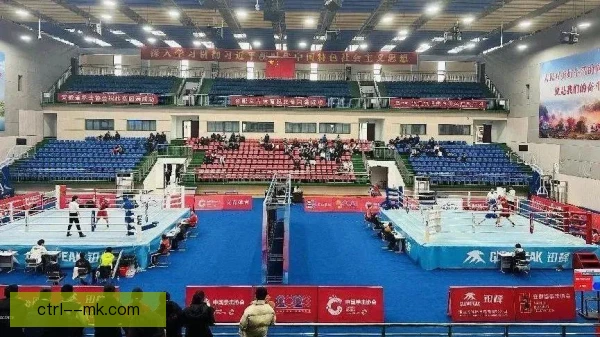 拳击世锦赛赛事规程细则，裁判评分标准再成焦点